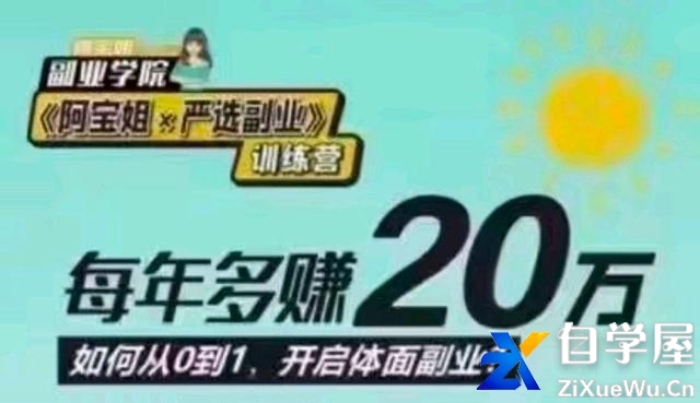阿宝姐严选副业PLUS版.jpeg