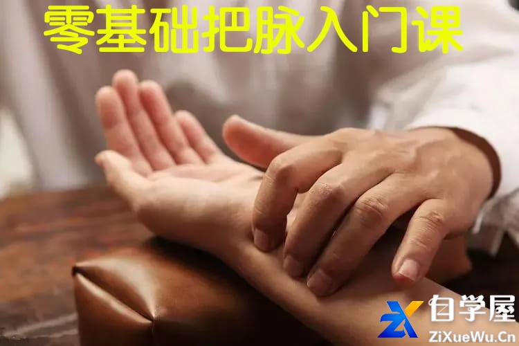 零基础把脉入门课.jpg