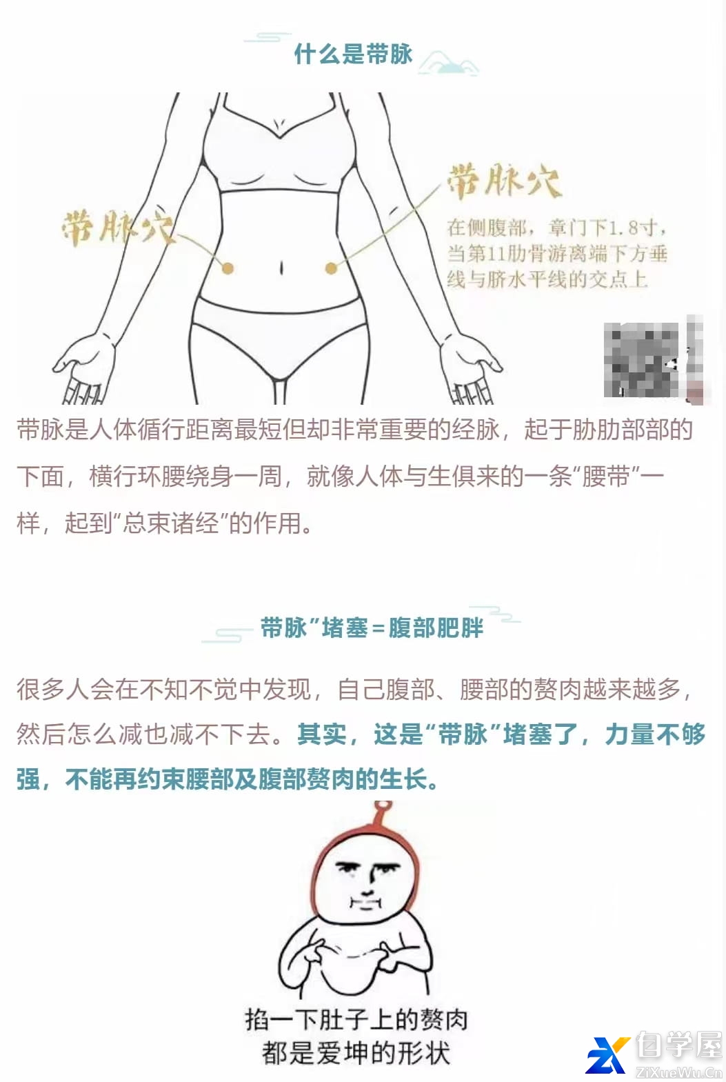 迷罗亲讲「带脉‮练训‬营」玉带环腰‮理调‬带脉「带脉总束诸经」2.jpg