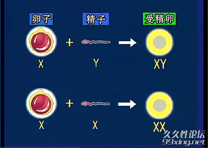 8.png
