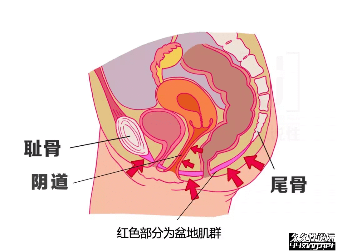 陈见说.jpg