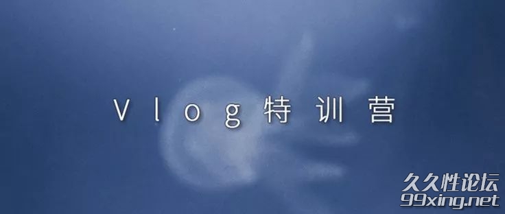 vlog特训营.jpeg