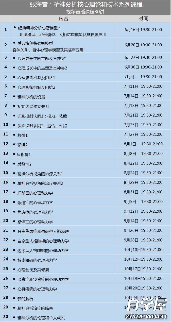 张海音：精神分析核心理论与技术30讲.jpg