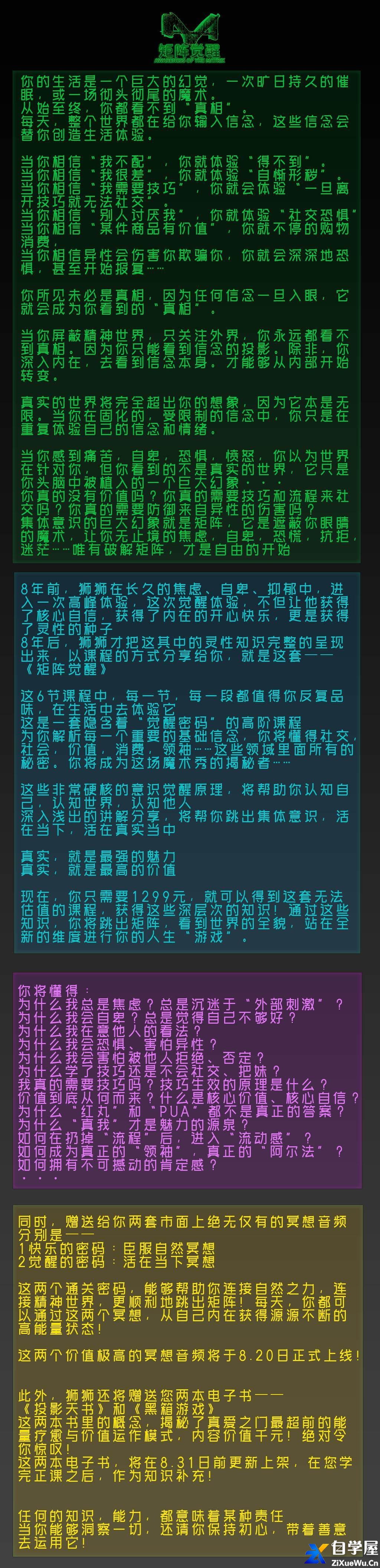 真爱之门《矩阵觉醒》