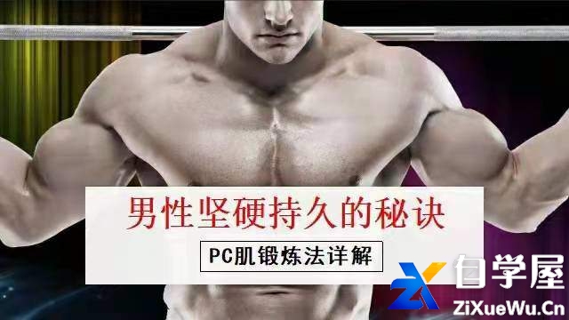 男性坚挺持久的秘诀——PC肌训练法.jpg