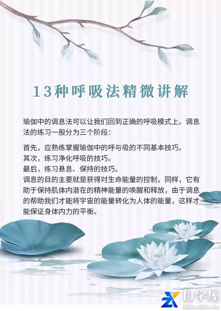 宝儿_13种瑜伽呼吸法精微讲解.jpg