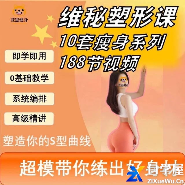 188节维密瘦体塑形课瑜伽普拉提马甲线养成减脂训练课程视频培训.jpg